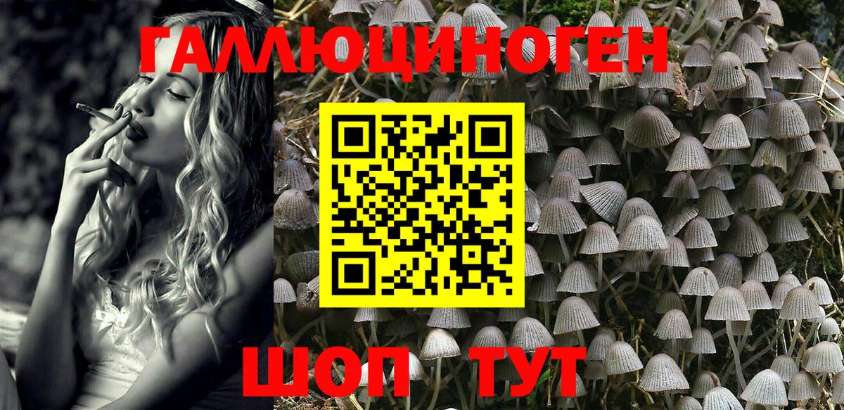 Серов  закладка  Вход с VPN  Галлюциногенные грибы мицелий  Галлюциногенные грибы Magic Shrooms 